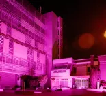 Ružová Trnavská univerzita