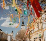 Trnava 2024