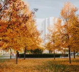 Trnavská univerzita