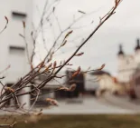 trnavská univerzita
