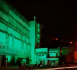 Trnavska univerzita zelena