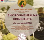 Environmentálna kriminalita
