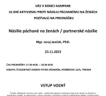 Násilie páchané na ženách / partnerské násilie