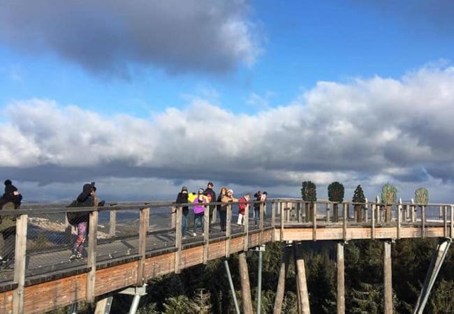 ErasmusDays, Trnavská univerzita erasmus days trnava university