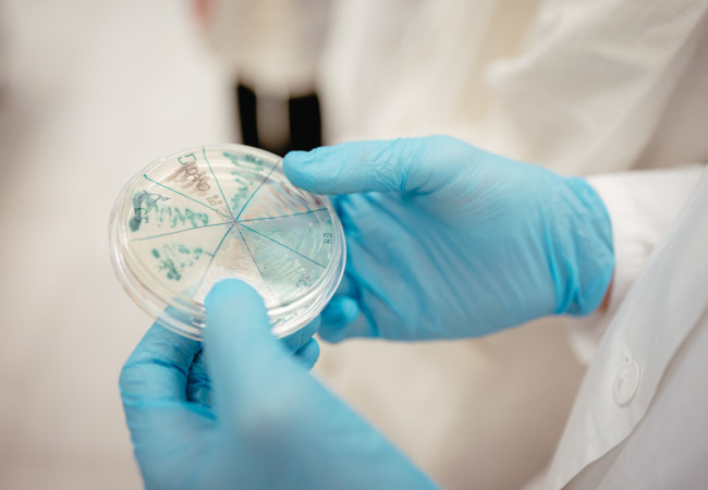 gymnazisti na truni, chemický krúžok, chémia, laboratórne metódy, fzsp truni