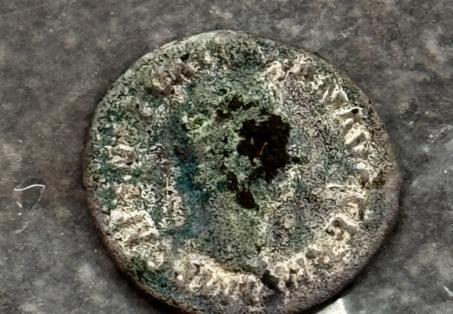 záchranný archeologický výskum, Rusovce, kaštieľ