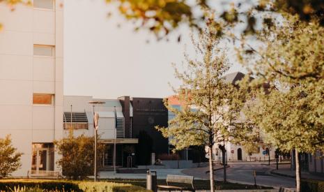 trnavská univerzita ranking,  kam na vš, kam na vysokú školu, trnava, najlepšie vysoké školy na slovensku, trnavská univerzita
