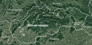 image-20230504082636-2